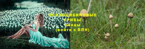 соль ск Беломорск