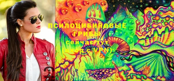 тгк Белокуриха