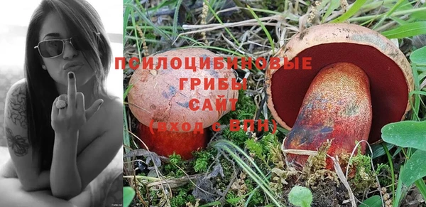 тгк Белокуриха