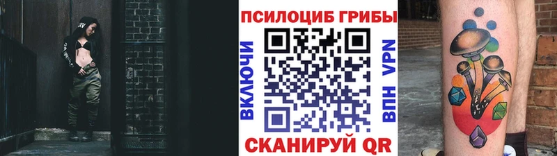 цены наркотик  Боровск  ссылка на мегу   Галлюциногенные грибы Psilocybe 